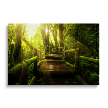 FOREST PATH